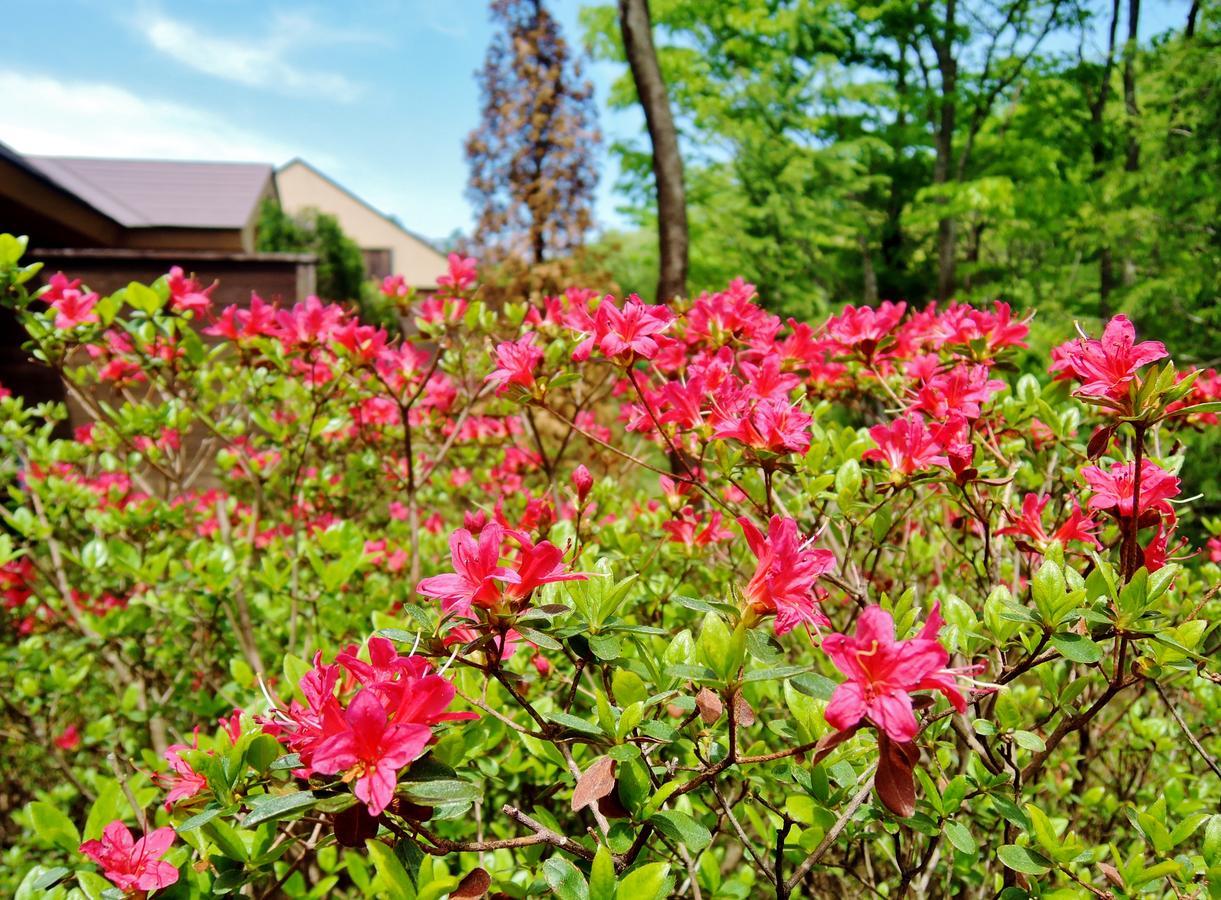 Affittacamere Aromatic Garden La Poltrona