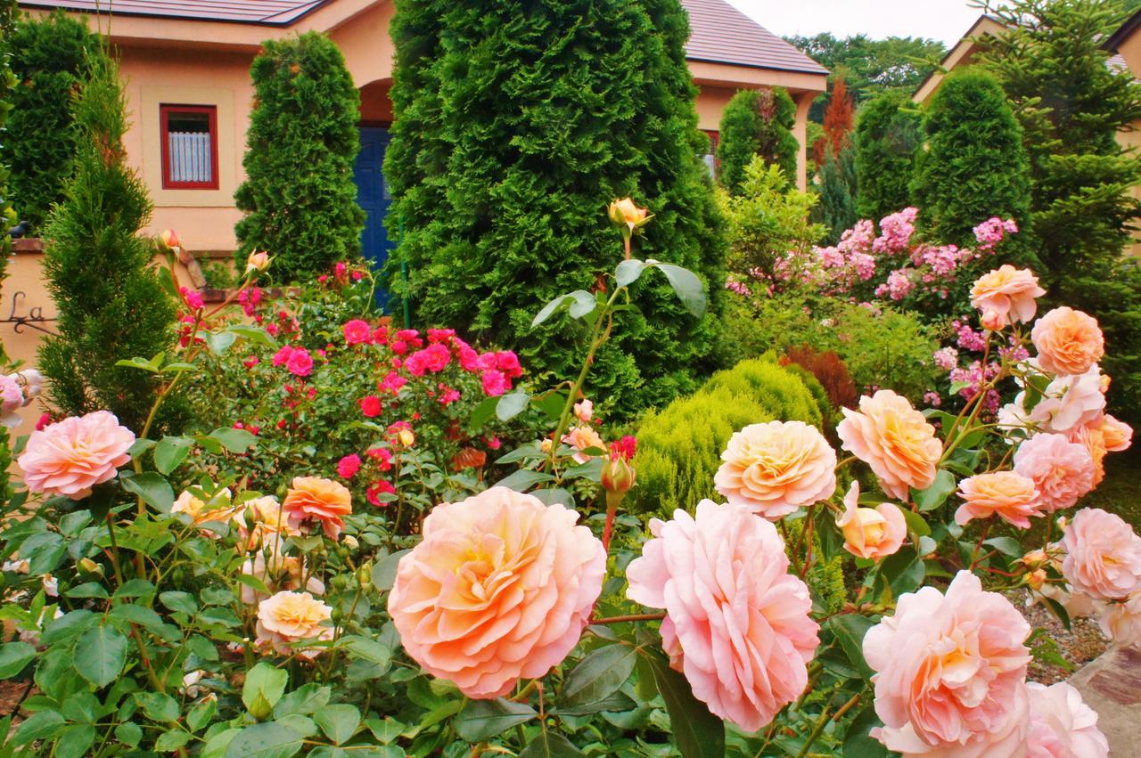 Aromatic Garden La Poltrona 3*